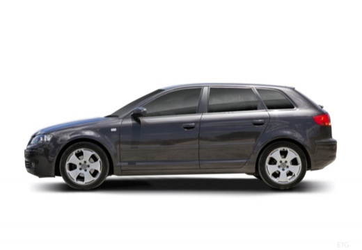 AUDI A3 Sportback I hatchback boczny lewy