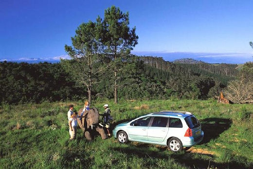 PEUGEOT 307 I kombi zielony jasny tylny lewy
